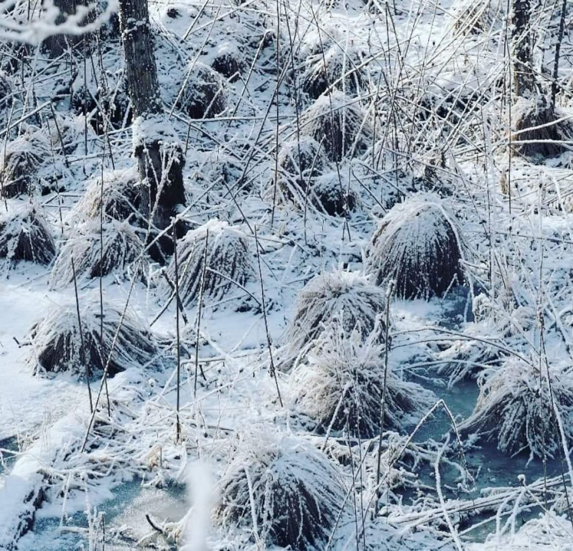 雪中キャンプ 標茶町 Be Pal