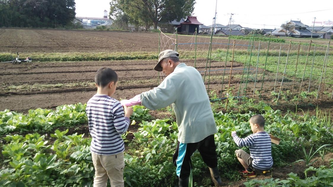 旬を食べて健康に 水上勉 土を喰う日々 を読んで Be Pal