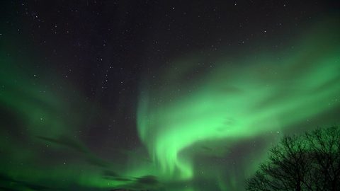 山本高樹のノルウェー・トロムソ取材レポート Vol.4