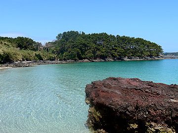 今年の夏は島旅トリップ！ 長崎県小値賀島でふれあい旅をするコツ