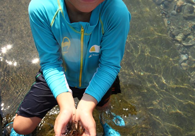 子どもと川遊び！小川で魚を捕まえる基本ワザ「ガサガサ」とは？