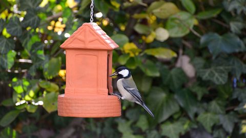 Terra Cotta Bird Feeder テラコッタのバードフィーダー