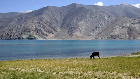 この世で空に一番近い湖、 パンゴン・ツォへの旅（後編）