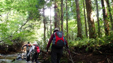 ガイドブックには載らない 白神山地のローカルツアー旅