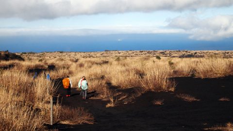 樹海からテキサス気分まで味わえる!? 伊豆大島の絶景キャンプ（その１）