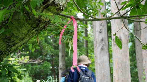 はじめての塩の道あるき vol.6〈鳥越峠編〉