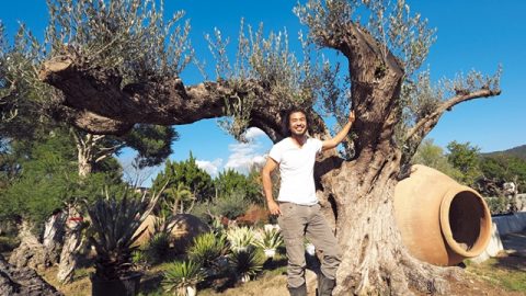 プラントハンター・西畠清順さんインタビュー「植物は生粋の旅人。遠くに行くことを考えているんです」