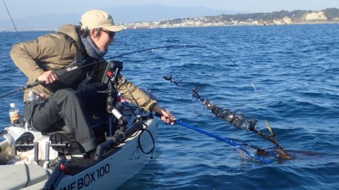 【漕いで、釣って、食べて】 カヤックフィッシング奮闘記 Vol.19　リベンジ、アオリイカ！