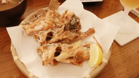 自分の釣った魚で晩酌！ カサゴの美味しい食べ方は？