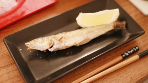 今が旬！　キスを釣って美味しく食べよう！