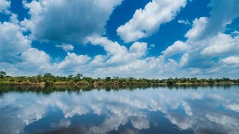 アマゾンをテーマにした写真家・山口大志写真展「アマゾン-密林の時間」開催中