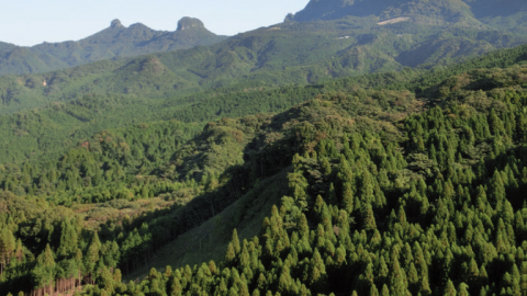 【のんびりローカル線で行く絶景低山の旅】ＪＲ日田彦山線・ 英彦山（福岡県）