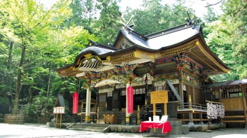 【のんびりローカル線で行く絶景低山の旅】秩父鉄道秩父本線・宝登山＆三峰山 （埼玉県）