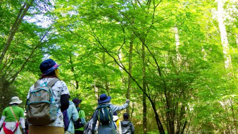 登って満足！地元もうれしい！山ガール主役のフェスに行こう