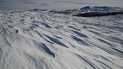 スノーシューを履いて、雪原を歩く。冬のアラスカに潜む生命の気配