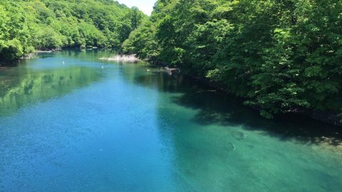 千歳川を下る［読者投稿記事］