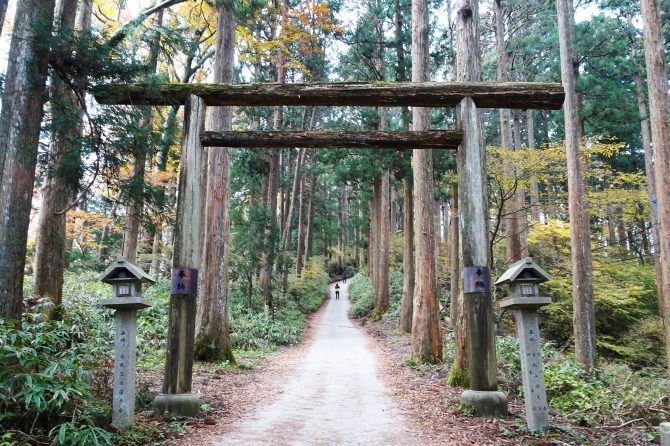 大阪府の最高峰、修験道の原郷「金剛山」へ！　【文化系アウトドアのススメ Vol.４】