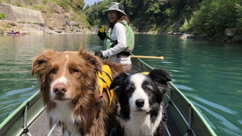 我が家のアウトドア犬紹介します。［読者投稿記事］