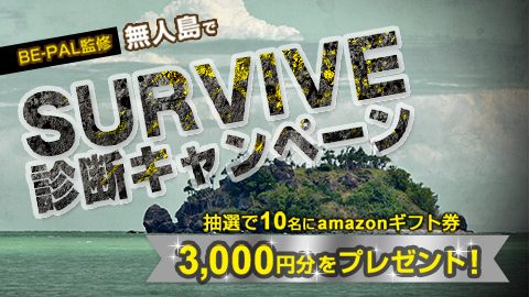 BE-PAL監修「無人島でSURVIVE診断キャンペーン」サイトがオープン！