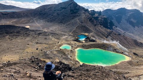 NZ世界自然遺産！トンガリロ国立公園で『至高の天空ピクニック』