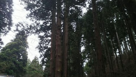 御岩神社 ハイキング［読者投稿記事］