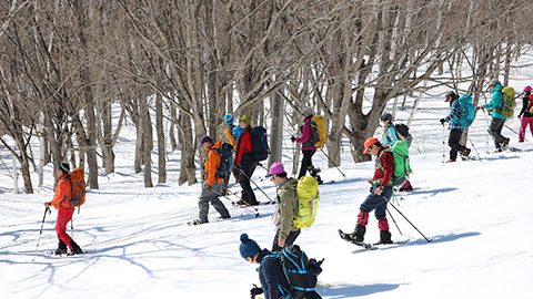 初心者も安心！スノーシューで雪原を歩く「冬体験」しませんか？