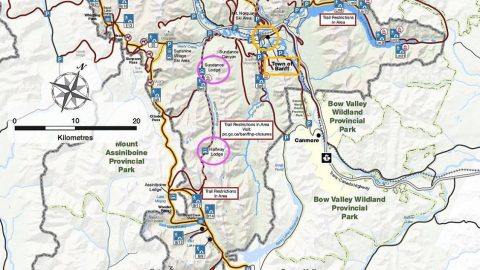 カナダBanff国立公園でのTrail Rideガイド体験: その2［読者投稿記事］