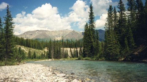 カナダBanff国立公園でのTrail Rideガイド体験: その3［読者投稿記事］