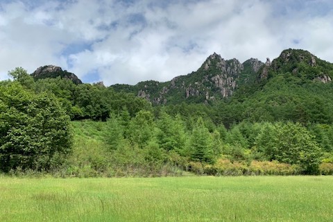 野草の見分け方から採り方まで。野草ワークショップに参加しよう！