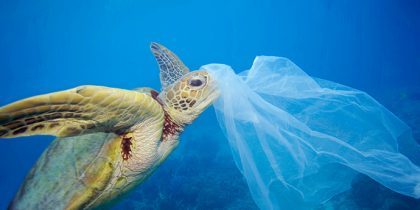 プラスチックが海を殺す 近い将来 海中のプラごみが魚の量を超える Be Pal