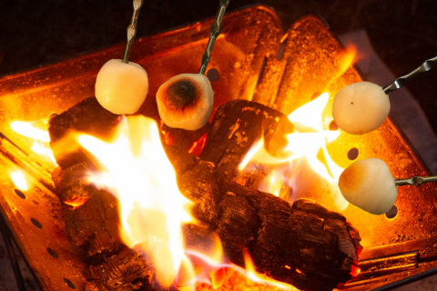 秋の夜長はメスティン＆BBQ串でだんごを焼いて、お月見キャンプ