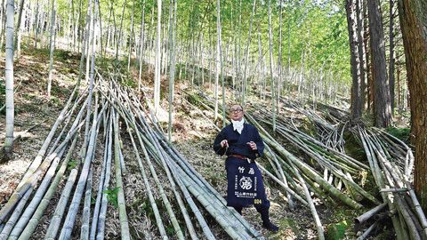 プラスチックに代わる「竹」アイテムとユニークな使い方