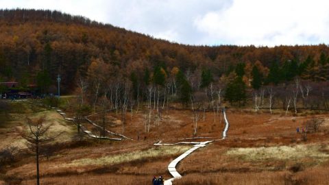 『心打つ 絶景目に入る 気力湧く』入笠山登山後に、絶景に救われる［読者投稿記事］