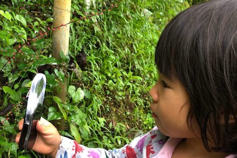 野草をルーペで観察！アウトドアで野草やキノコの夜ご飯を作ろう