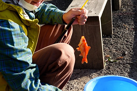 極太タイヤの自転車で埼玉県 彩湖 道満パーク の金魚釣りに行ってみた Be Pal