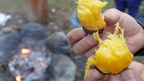 冬キャンの焚き火で焼き芋を！コクと甘みが引き立つ、失敗しない作り方を紹介