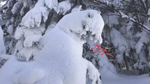 雪山に現れた怪獣冬将軍［読者投稿記事］