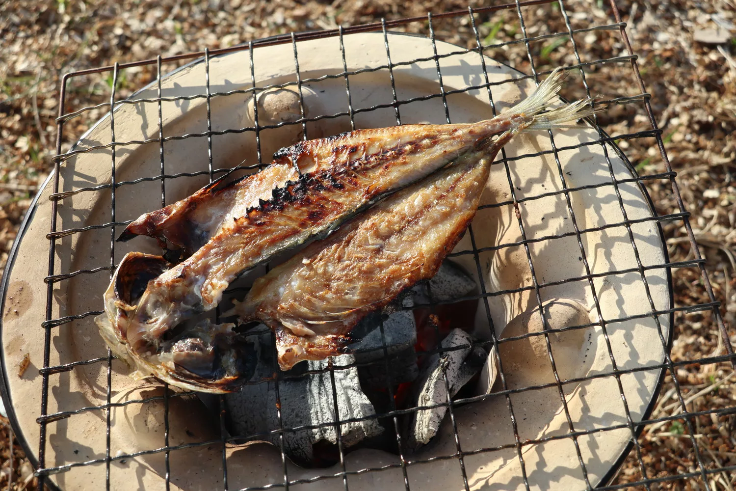 炭火で魚を上手に焼くには 身から焼く それとも皮から焼く Be Pal