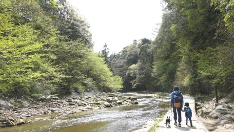 2歳児と一緒でも気軽に楽しめる！房総半島のド真ん中”養老渓谷”でファミリートレッキング