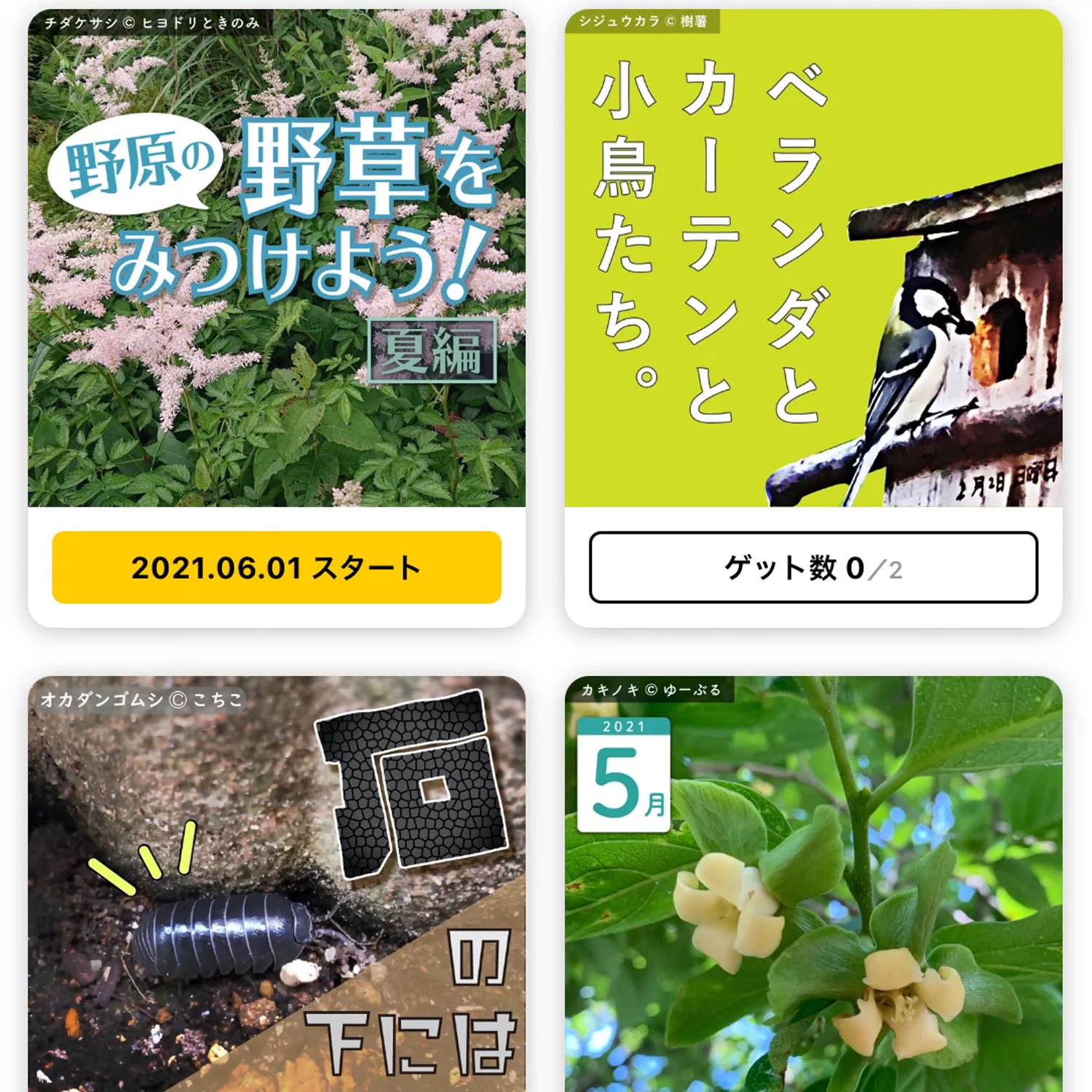 いきものコレクションアプリ Biome で子供とのアウトドアが更に楽しくなる 自然観察 Be Pal キャンプ アウトドア 自然派生活の情報源ビーパル