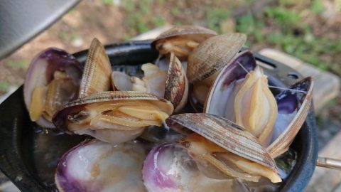 【アサリ貝 バター焼きにして！】［読者投稿記事］