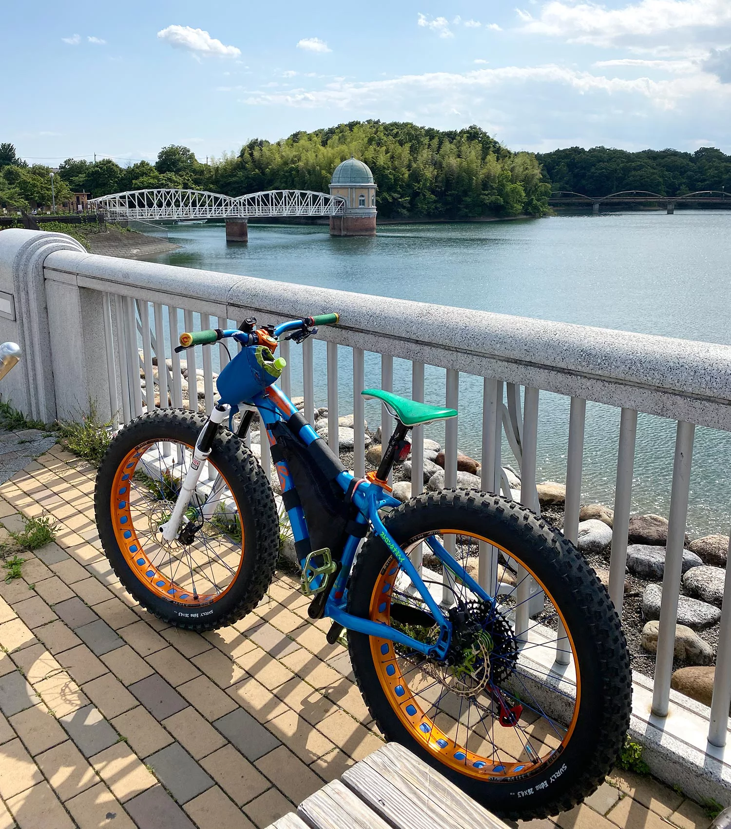 極太タイヤの自転車で10km以上もの直線道路がある「多摩湖自転車