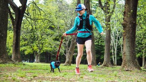 愛犬ともっとアウトドアを楽しめる！便利＆おすすめアイテム