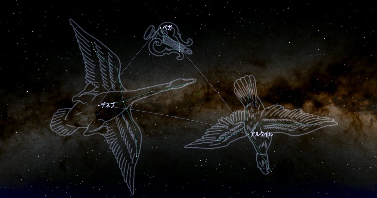 今年の七夕は会えるのか？織女星と牽牛星の中間地点アルビレオを探せ