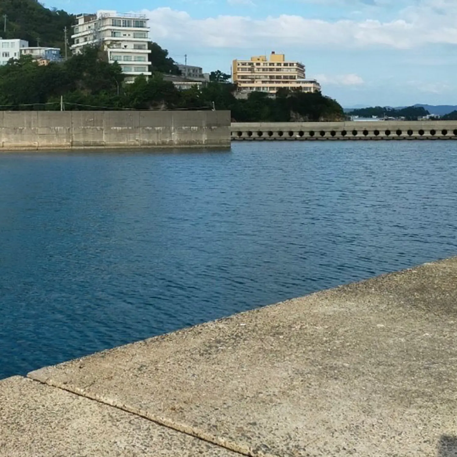 針を垂らすだけの簡単な釣り 初心者におすすめなブラクリを使った ヘチ釣り とは 海 川 カヌー 釣り Be Pal キャンプ アウトドア 自然派生活の情報源ビーパル