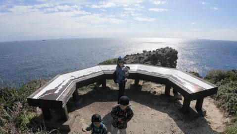 子どもも犬もみんなでハイキング！南伊豆”タライ岬遊歩道”を家族で歩いてみた【休日キャンピングカーの旅】