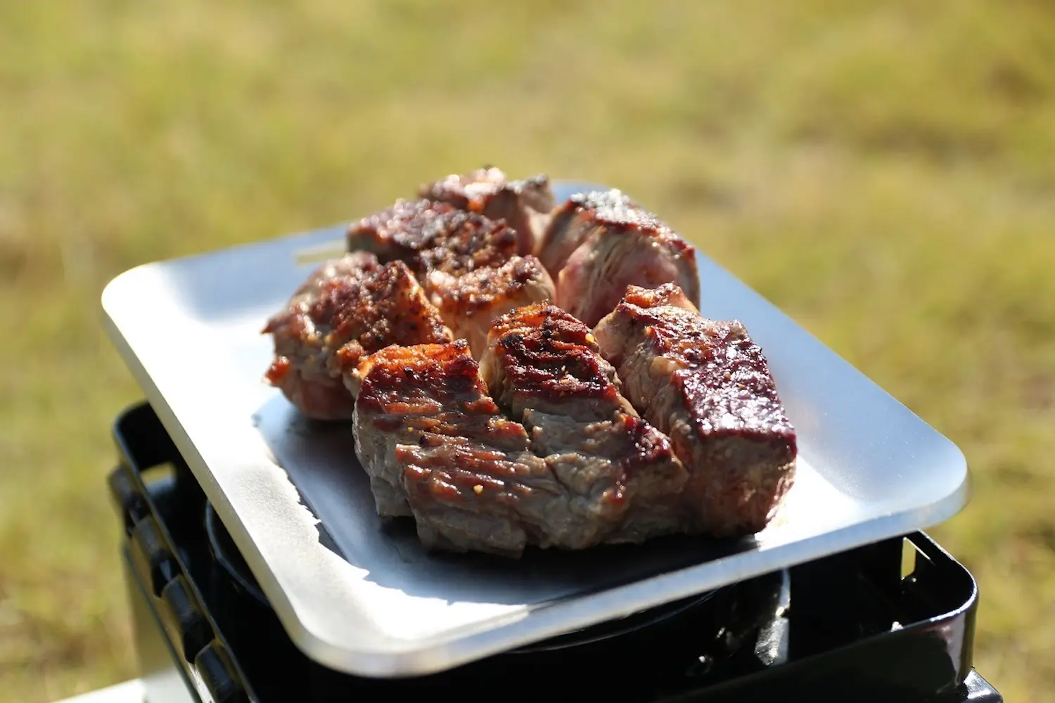 キャンプで肉が旨く焼ける！食材のうま味をじっくり引き出す日本製「極