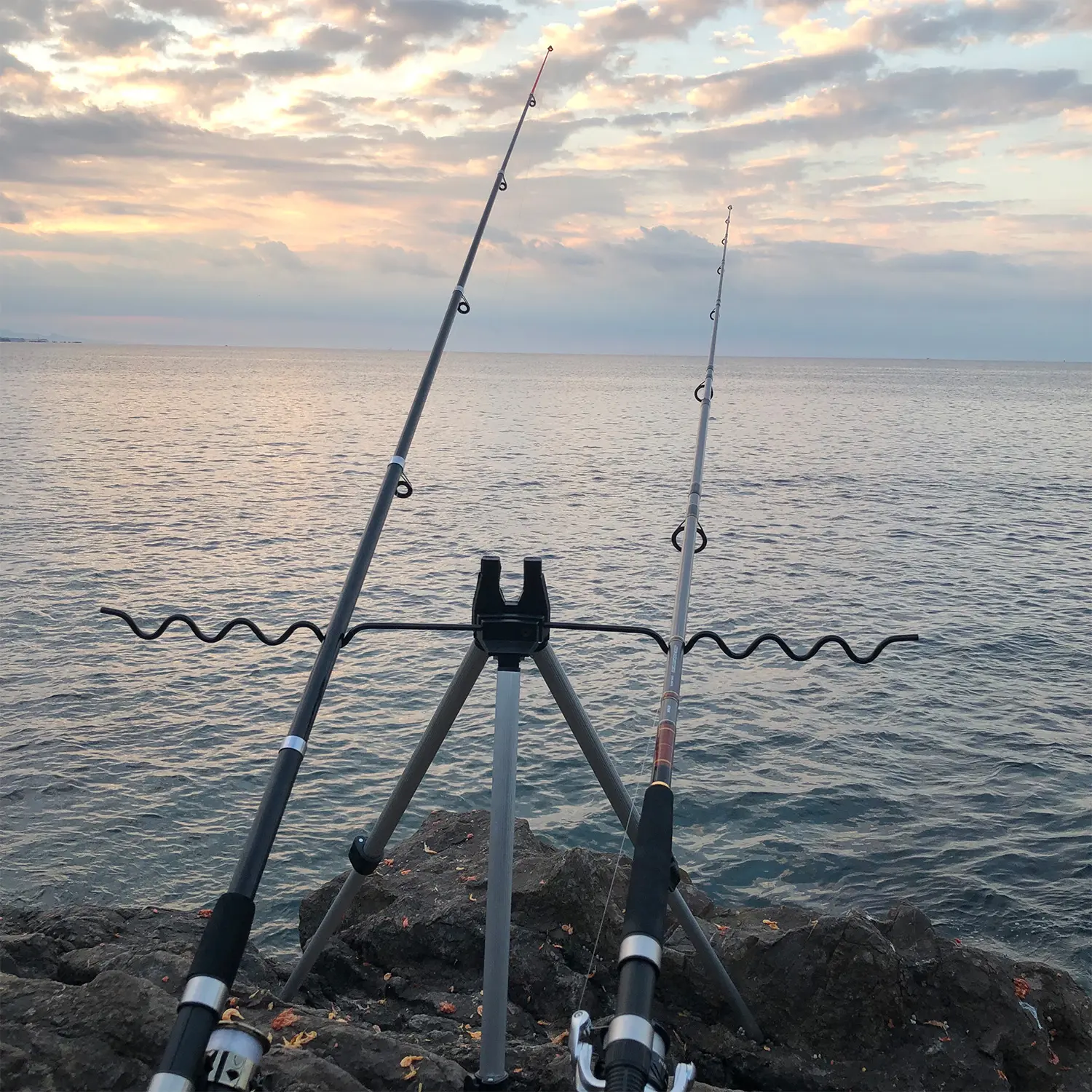 サバで大物釣り 私が磯で釣った 超狂暴そうなあの魚とは 海 川 カヌー 釣り Be Pal キャンプ アウトドア 自然派生活の情報源ビーパル