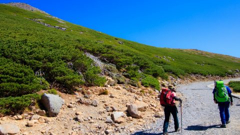 トレッキングポールの基本の使い方。楽しく安全に登山を楽しもう