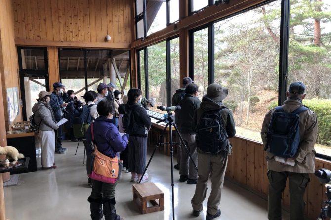 広島県おおの自然観察の森で野鳥観察 211212［読者投稿記事］